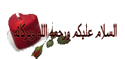 Très jolie abaya ouverte + châle TAILLE M 794997